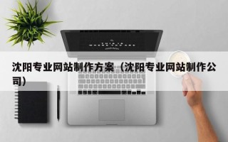 阳春沈阳专业网站制作方案（沈阳专业网站制作公司）